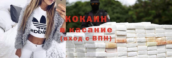 мет Алексин