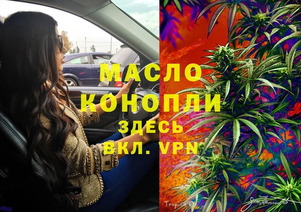 мет Алексин