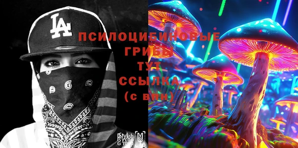 PSILOCYBIN Алексеевка