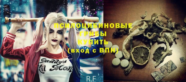 PSILOCYBIN Алексеевка