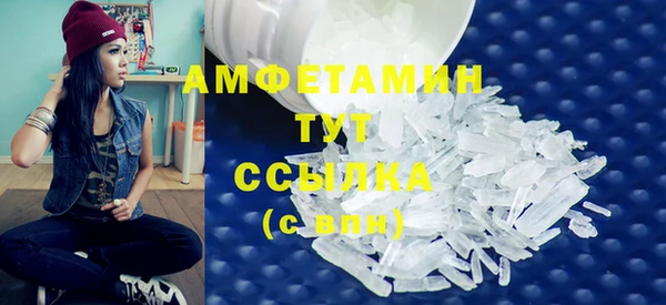 мет Алексин