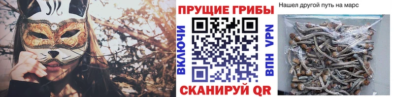 кракен как зайти  Кызыл  Галлюциногенные грибы ЛСД  как найти закладки 