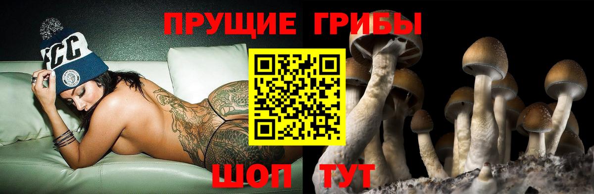 Галлюциногенные грибы прущие грибы  Вход с VPN  Кызыл 